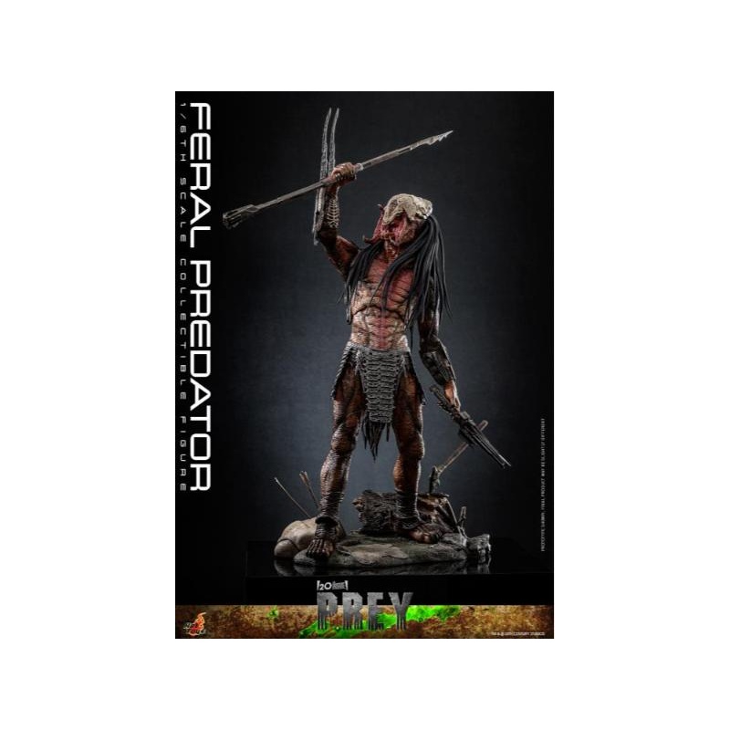 TMS114 Prey – 1/6 Feral Predator