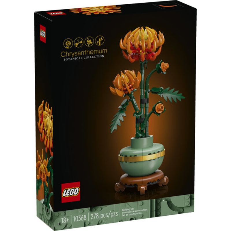 Botanical Collection: Chrysanthemum (10368)