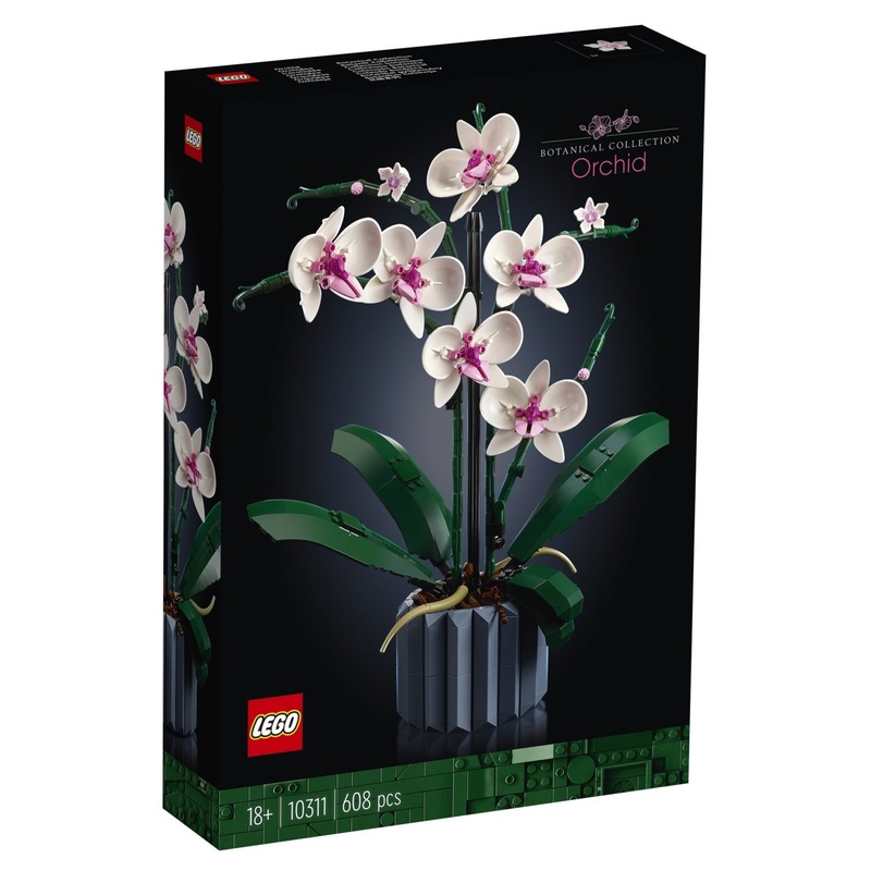 Botanical Collection: Orchid (10311)