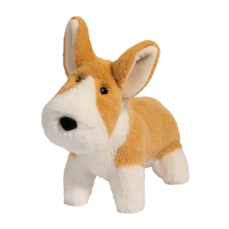 Carl Corgi ‘Muzzle’
