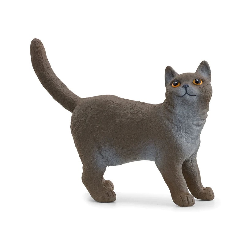 British Shorthair Cat (Schleich #13973)