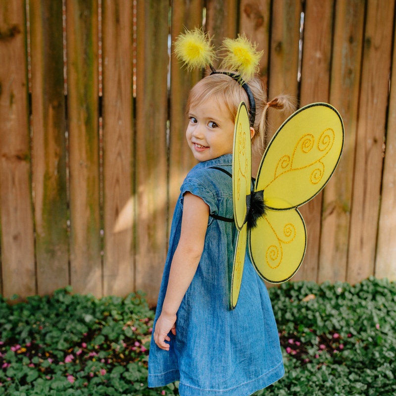 Bumble Bee Wings & Headband