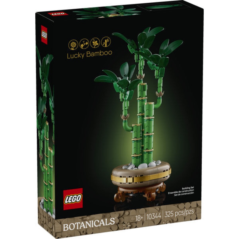 Botanical Collection: Lucky Bamboo (10344)