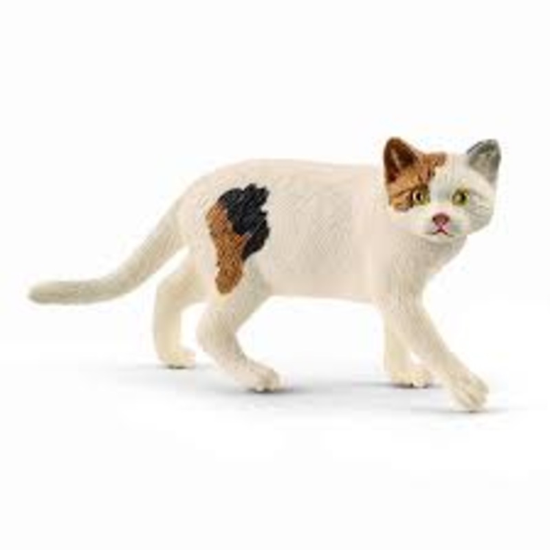 American Short Hair Cat (Schleich #13894)