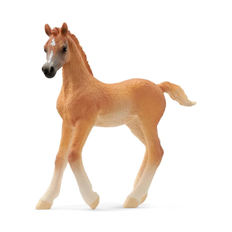 Arabian Foal (Schleich #13984)