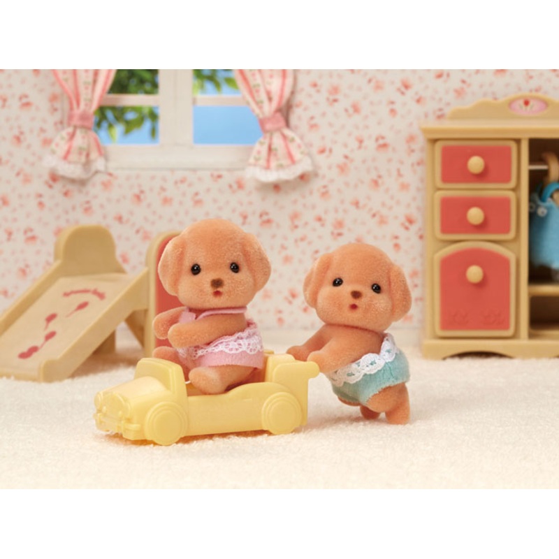 Toy Poodle Twins