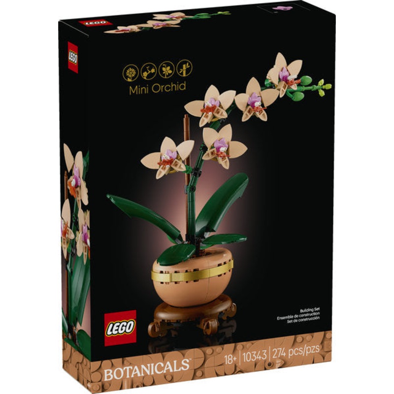 Botanical Collection: Mini Orchid (10343)
