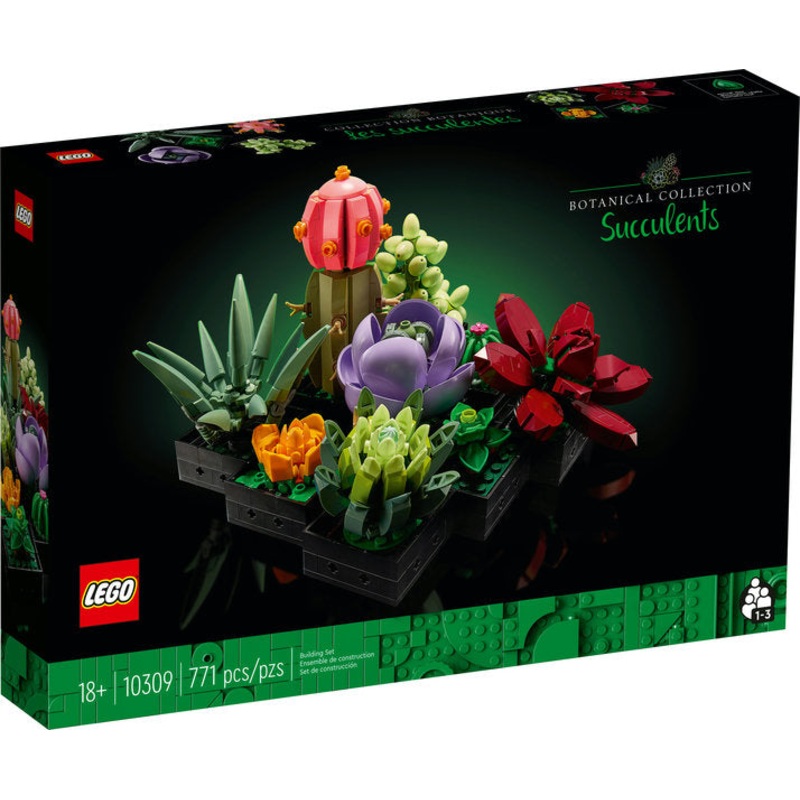 Botanical Collection: Succulents (10309)