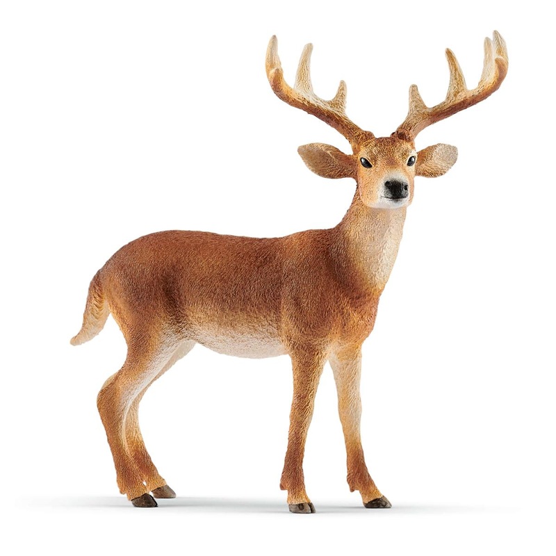 White-Tailed Buck (Schleich #14818)