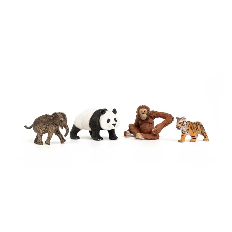 Wild Life Asia Starter Set (Schleich #42736)