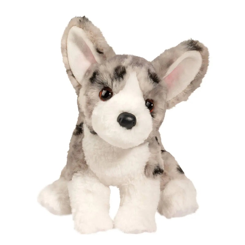Codie Corgi ‘Softie’